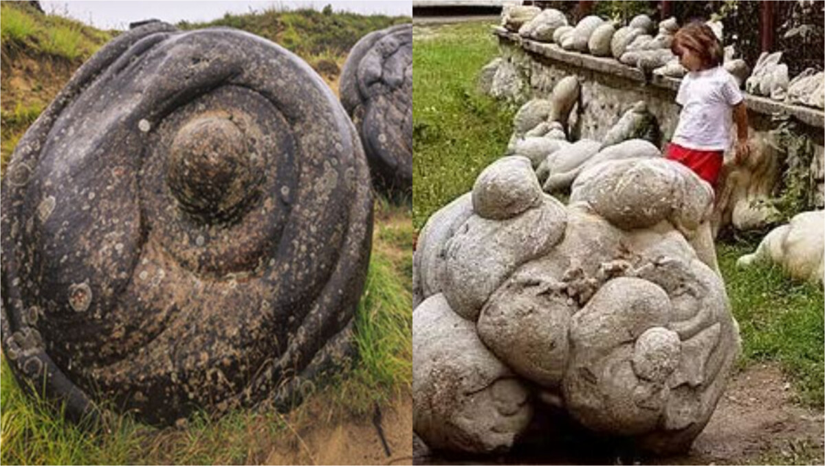 These 'living' rocks can give birth to baby stones